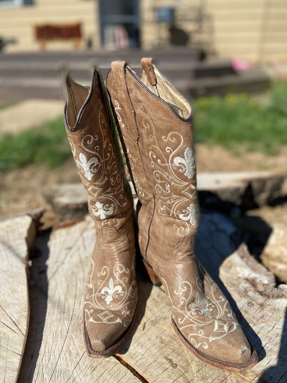 Circle G Brown Embroidered Western Ankle Boots